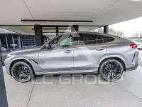 2025 BMW X6