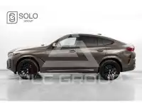 2025 BMW X6