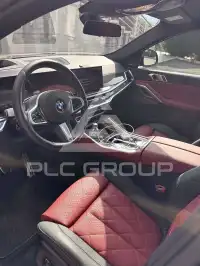 2025 BMW X6