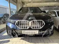 2025 BMW X6
