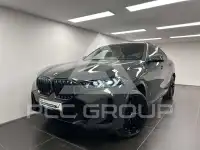 2025 BMW X6