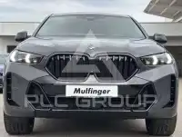 2025 BMW X6