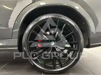 2025 BMW X6