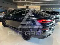 2025 BMW X6