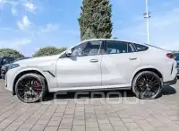 2025 BMW X6