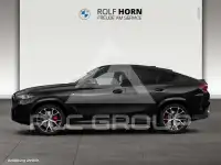 2025 BMW X6