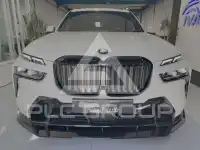 2025 BMW X7