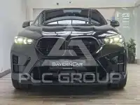 2025 BMW X6