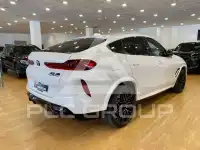 2025 BMW X6