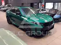2025 BMW X6