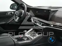 2025 BMW X6