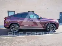 2025 BMW X6