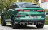 2025 BMW X6