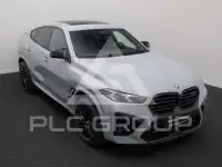 2025 BMW X6