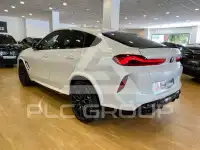 2025 BMW X6