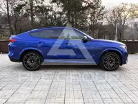 2025 BMW X6