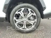 2025 Suzuki Across
