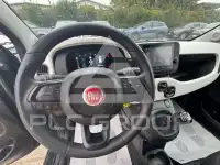 2025 Fiat Unknown