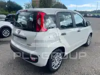 2025 Fiat Panda