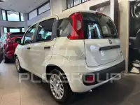 2025 Fiat Panda