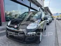 2025 Fiat Panda