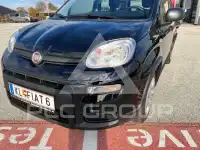 2025 Fiat Panda
