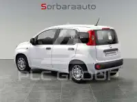 2025 Fiat Panda