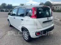 2025 Fiat Panda