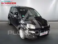 2025 Fiat Panda