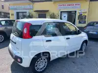 2025 Fiat Panda