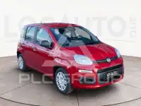 2025 Fiat Panda
