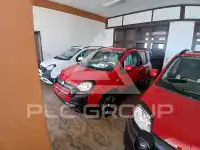 2025 Fiat Panda