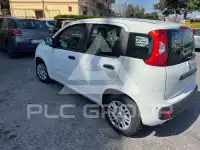 2025 Fiat Panda