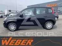 2025 Fiat Panda