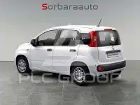 2025 Fiat Panda