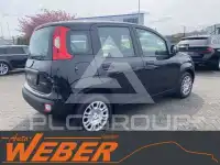 2025 Fiat Panda