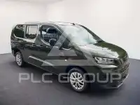 2025 Fiat Doblo