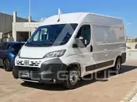 2025 Fiat Ducato