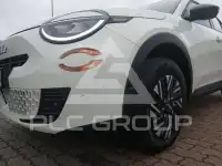2025 Fiat 600