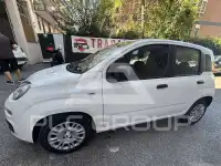 2025 Fiat Panda