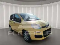 2025 Fiat Panda