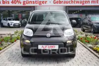 2025 Fiat Panda