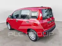2025 Fiat Panda