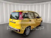 2025 Fiat Panda
