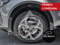 2025 Alfa Romeo Other