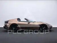2025 Ferrari Other