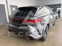 2025 Lexus RX