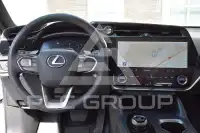 2025 Lexus RZ