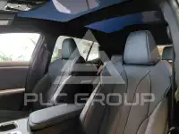 2025 Lexus RZ