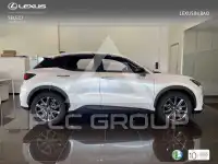 2025 Lexus LBX